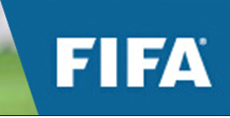 人造草坪 FIFA 會員企業(yè)